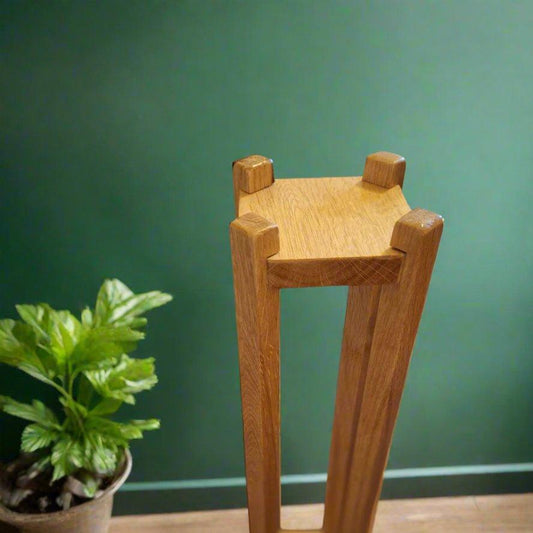 The Sly Stand